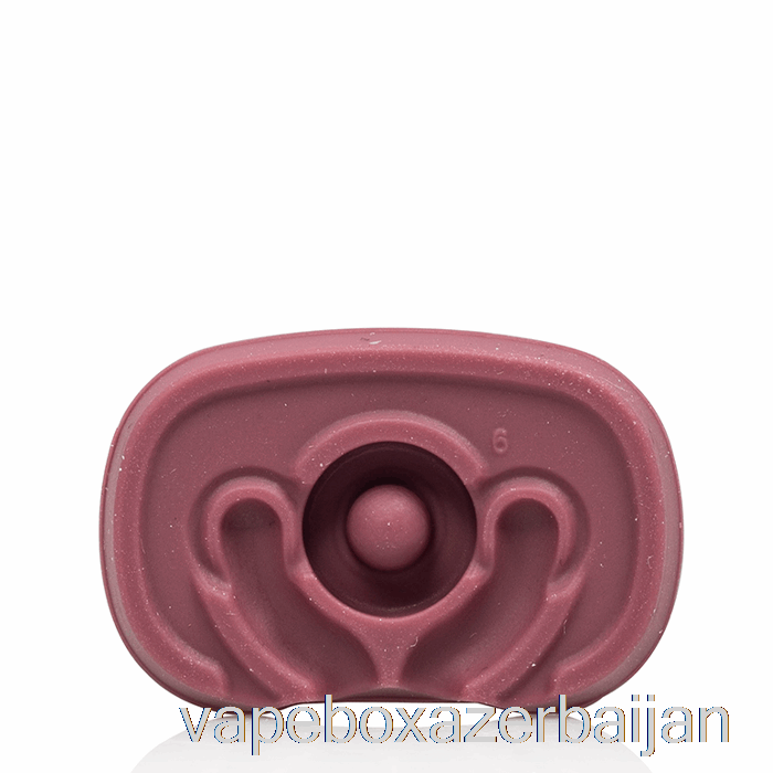 Vape Azerbaijan Pax FLAT Mouthpiece Elderberry
